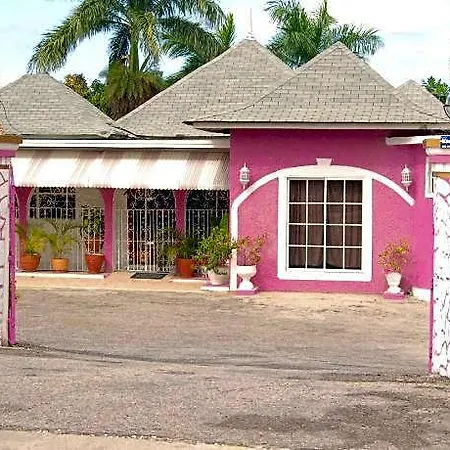 Pink Hibiscus Guest House