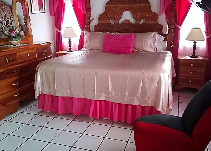 Pink Hibiscus 3* Montego Bay