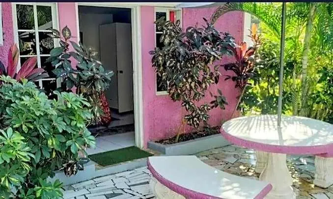 Pink Hibiscus Hotel 3*