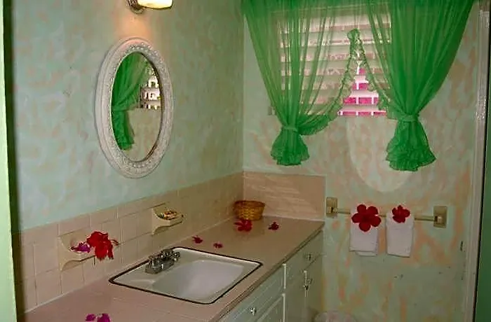 Pink Hibiscus Hotel