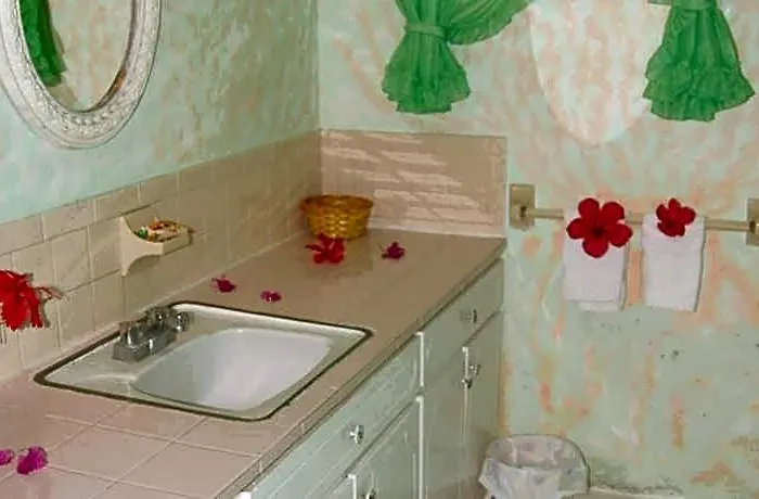 Hotel Pink Hibiscus Montego Bay